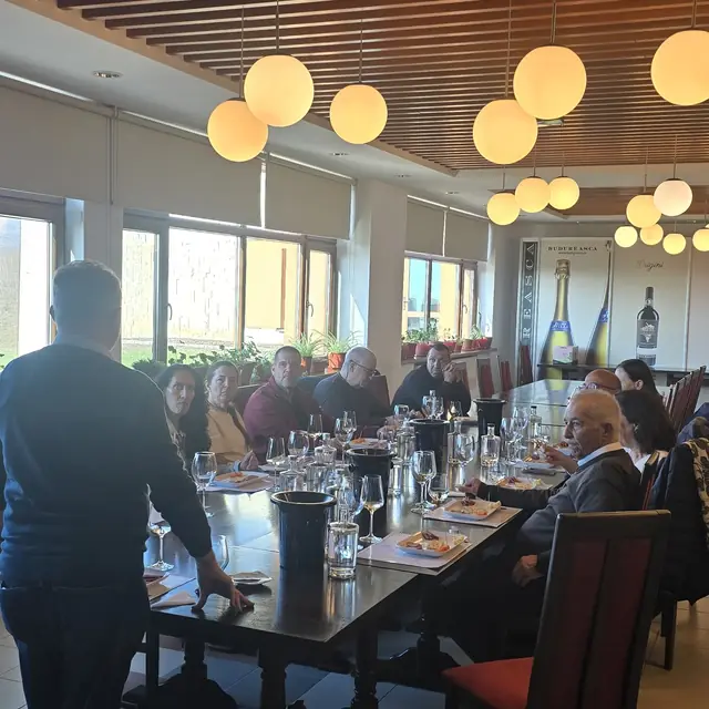 Romanian vineyard rows and winery tasting on a private wine tour — 1