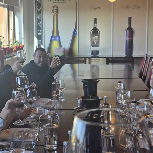 Romanian Winery Tour
