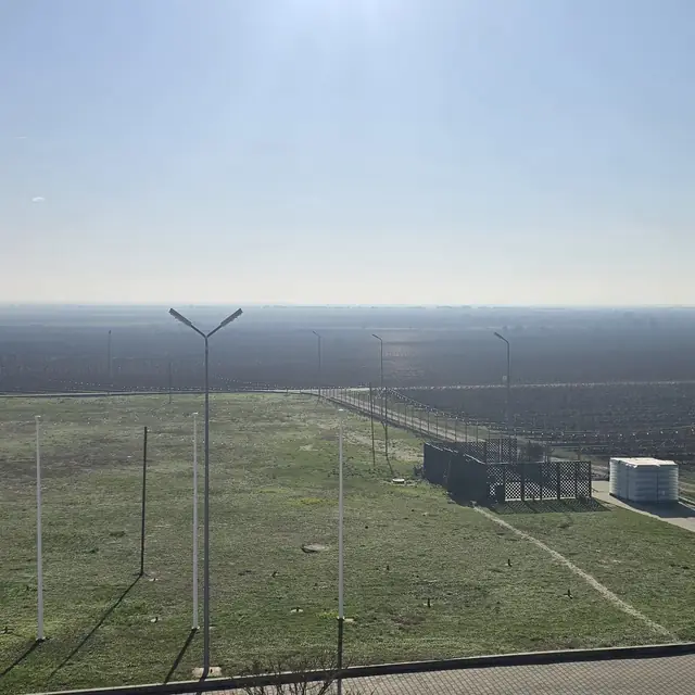 Romanian vineyard rows and winery tasting on a private wine tour — 6